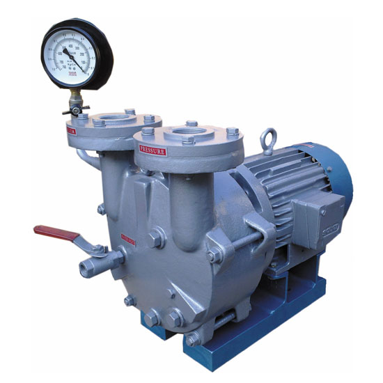 Direct Drive Water Ring Vacuum Pumps