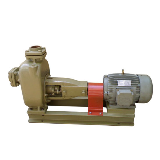 Mud / Sewage Pumps