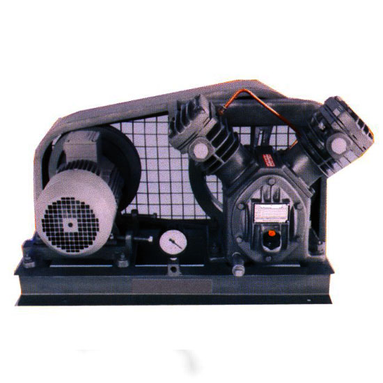 Piston Type Dry Vacuum Pumps